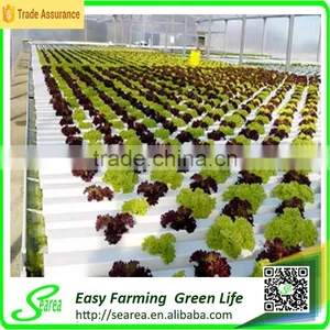 Factory Price Greenhouse Hydroponics Pvc Pipe thumbnail-1