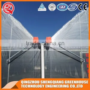 China Direct Plastic Greenhouse for Agricultural Farming thumbnail-5