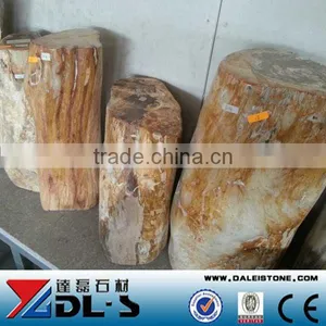 Petrified Wood,high Value Luxary Natural Stone for Collection thumbnail-2