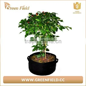 1/2/3/5/7/10/15/20/25/30 Gallon Non Woven Fabric Pot Plant Grow Bags thumbnail-2