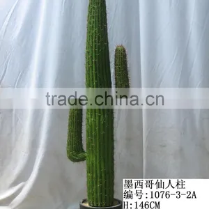 Artificial Outdoor and Indoor Cactus Tree and Plants for Decoration thumbnail-1