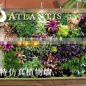 Decorative Home Decor Green Wall Cheapest (80X20cm)ornamental Plant Artificial Flower Wall thumbnail-3