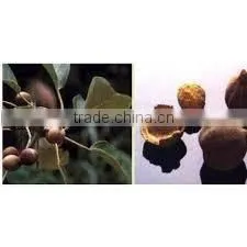 Terminalia Ballerica Extract thumbnail-3