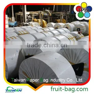 Mango Fruit Grow Bag Mango Fruit Grape Covering Paper Bag thumbnail-2