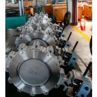 HIGH PERFORMANCE BUTTERFLY VALVES thumbnail-3