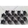 Offer Grass Cushion thumbnail-1