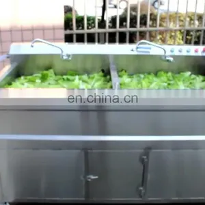 Home Use Ozone Mushroom Lettuce Spinach Leaf Vegetable Washing Machine thumbnail-1