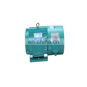 High Power High Efficiency 315kw 3000rpm Big Motor Three Phase Induction Motor thumbnail-4