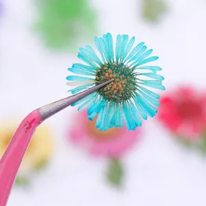 Daisy Camellia Dry Flower Dried Flower Acrylic Nails Nail Decorations Sticker Leaf thumbnail-2