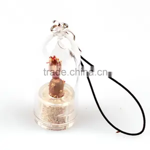Miniplant "Eve's Needle Bonsai" Mini Succulent Plant With Keychain thumbnail-4