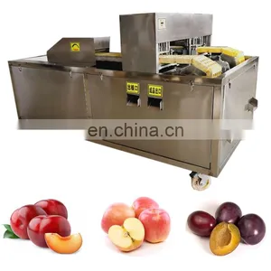 Apple Coring Machine Apple Nucleation Machine thumbnail-4