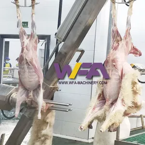 Turnkey Project Lamb Abattoir Sheep Skin Removed Equipment Goat Slaughter House Machine thumbnail-3
