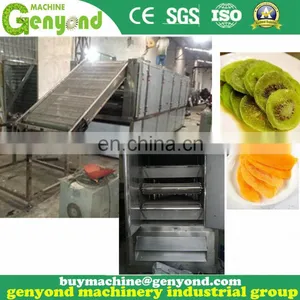 Contiunous Drying Mango Chips Processing Plant thumbnail-2