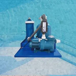 Small Swimming Pool Copper Silver Ion Water Processor, Disinfection and Sterilization of Swimming Pool Water Without the Need for Chemical Additives thumbnail-4