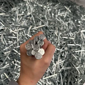 Hot Dipped Galvanized Wire Nails - ASTM A153 Compliant for Outdoor Use thumbnail-4