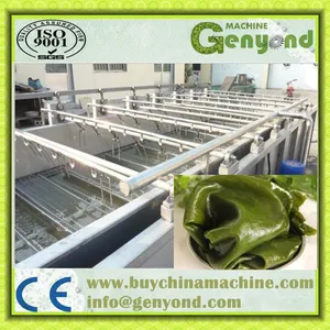 Vegetable Washing Machine/seaweed Packaging Machine/high Quality Kelp Cleaning Machine thumbnail-2