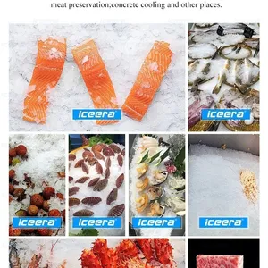 Food Grade Flake Ice Equipment 1500kg/D for Aquatic Processing Factory thumbnail-5