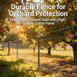 Cheap Field Fence Prices Farm Field Pig Hog Fence Deer Mesh Wire Cattle Fencing Farm thumbnail-2