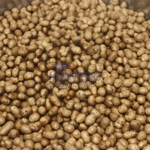 Mobile Hot Air Parboiled Rice Maize Paddy Dehydrator Nuts Lotus Seed Yam Sesame Drying Machine EPC thumbnail-3