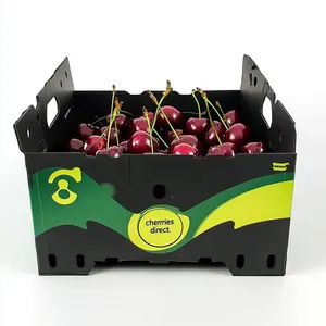Cherry Shipping Box thumbnail-2