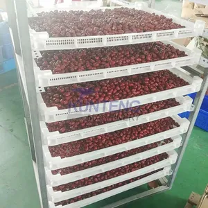 Industrial Food Drying Equipment Almond Apricot Fruit Drying Oven Palm Kernels Prune Dryer Machine EPC thumbnail-4