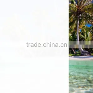 Static Window Film,removable Static Cling Window Film thumbnail-5