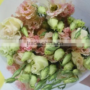Fresh Top Sell Wholesale Fresh Lisianthus Flower thumbnail-3