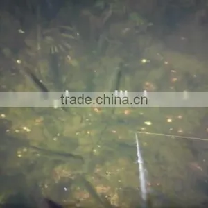 IP68 15/25 m Underwater Infrared LEDs Fish Finder Camera, Infrared Camera With 3.5'' Display Factory in Shenzhen thumbnail-5