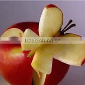 Apple Polyphenol 20%-80% thumbnail-3