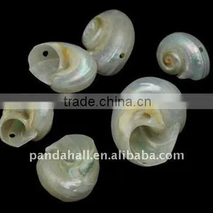 Spiral Shell Beads, Dyed, Multicolor(BSHE-S066) thumbnail-1