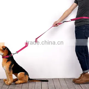 Running Epoxy Sticker Pet Dog Leash Wholesale thumbnail-5