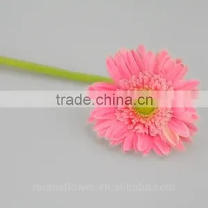 Hot Sell Fresh Cut Pink Gerbera - Egypt Mini Silk Gerbera Daisies With 20stems/bundle From Yunnan, China thumbnail-6
