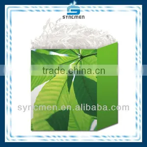 Natural Design Gift Bag, Paper Gift Bag thumbnail-1