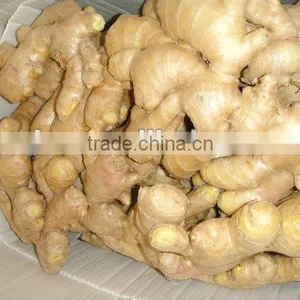 China Fresh Ginger for Sale thumbnail-1