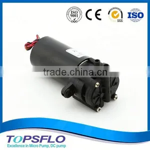 Mini Size DC Gear Pump 12V/Mini Gear Pump thumbnail-1