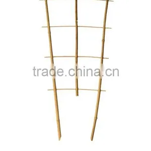 Bamboo Trellis - Bamboo Vine thumbnail-1