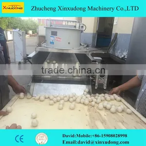 Fishball Production Line thumbnail-1