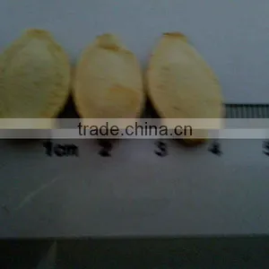 Roasted Cashew Nut and Salty Shine Skin Pumpkin Seeds thumbnail-1
