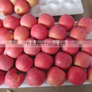 Grade AA Juicy,sweet Red Fuji Apple thumbnail-4