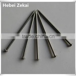 Polished Iron Nails/common Iron Nails for Wood Building thumbnail-2