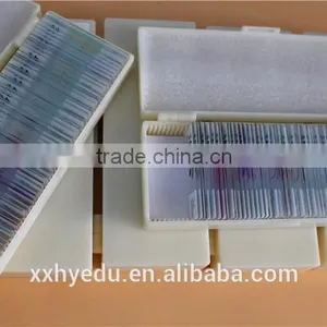 Lab Microscope Prepared Slides , Glass 52kinds Bacterial Prepared Slides,science Prepared Slides thumbnail-2