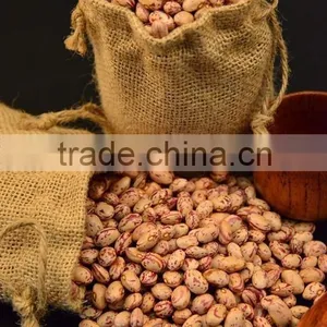 Good Quality Light Speckled Kidney Beans,American Type thumbnail-1