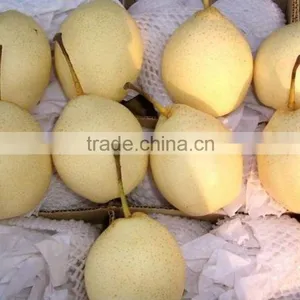 9KG Ya Pear 40-44 Specification thumbnail-1