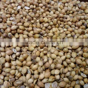 Coriander Seed thumbnail-1