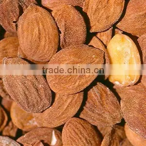 Peach Kernels thumbnail-1