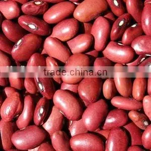Chinese Red Bean thumbnail-1