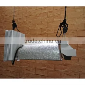 Gavita Style Double End Light thumbnail-1