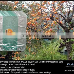 Melon Bag thumbnail-5
