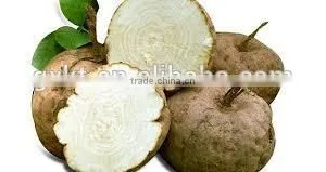 Pueraria Mirifica Big Breast Massage Oil thumbnail-3