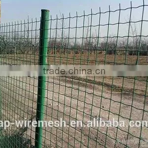 Fence Mesh Application and Galvanized Iron Wire Material 8/6/8 Double Wire Fence thumbnail-2